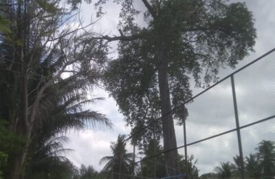 Udép Tamsé Lam Alôn Badèe