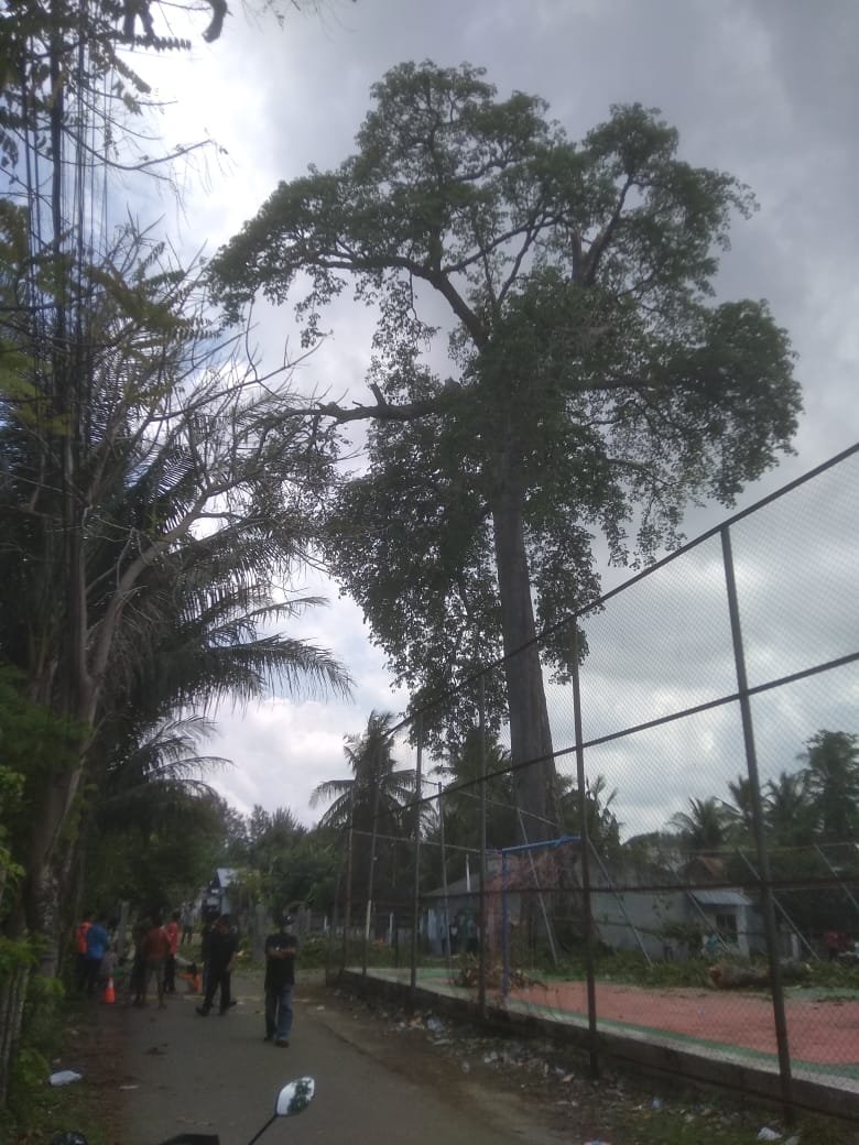 Udép Tamsé Lam Alôn Badèe